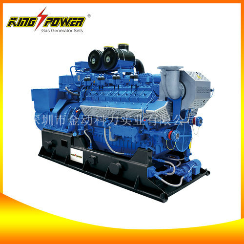 【供應(yīng)天然氣發(fā)電機(jī)】電讓世界變得更美！