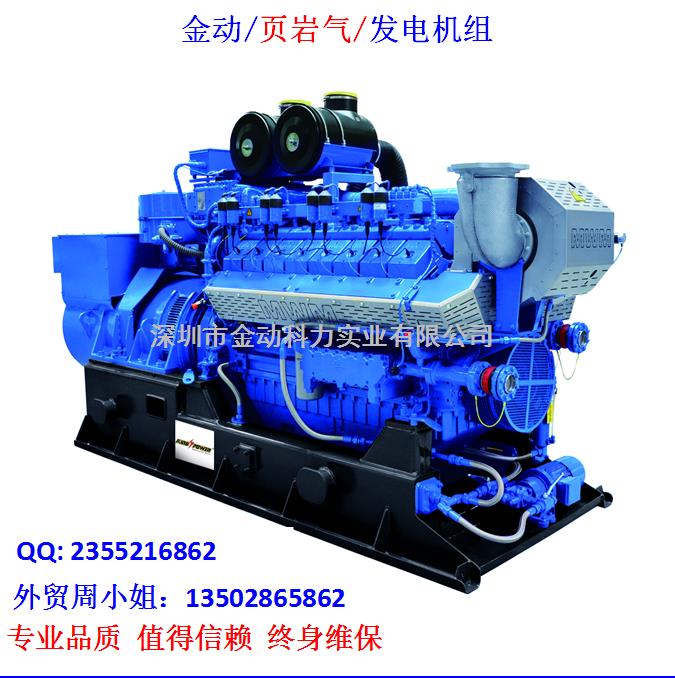 【深圳頁(yè)巖氣發(fā)電機(jī)】 發(fā)展趨勢(shì)無(wú)懈可擋！