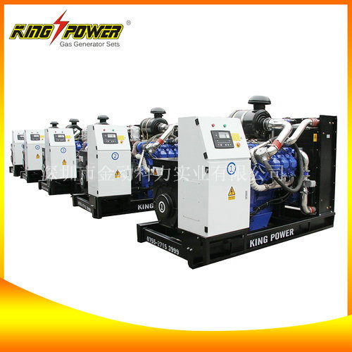 沼氣發(fā)電機組/沼氣發(fā)電機組生產商